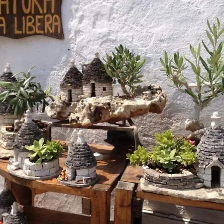 Il Professore * Turi